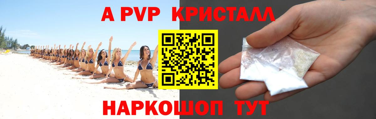 Alfa_PVP СК КРИС Черкесск