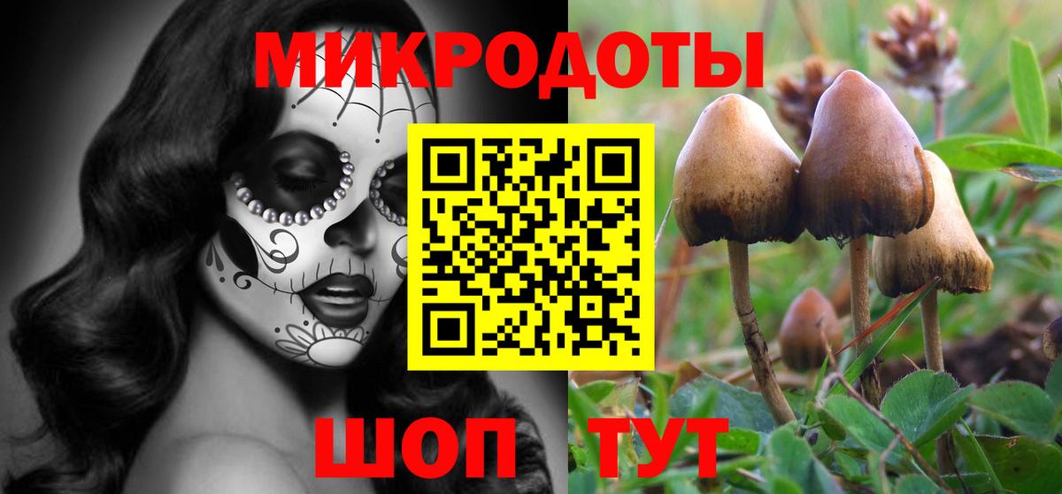 Галлюциногенные грибы мицелий Черкесск